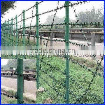 Hot Dale High Quality Security Galvanized Pvc Coated Barbed Wire photo-2