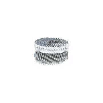 coil nail