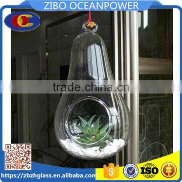 wholesale clear pear shape glass Vase Landscape bottle hanging