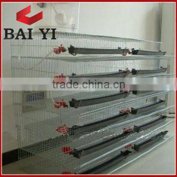 Large Scale Quail breeding Cage For Sale