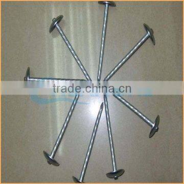 Top quality 9g roofing nails for africa market trusted Chuanghe suppliers from alibaba com