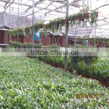 Multi Span Tunnel PE Plastic Film Hydroponic Systems Agricultural Greenhouse photo-4