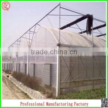 Hot Sale 6.4m Multi-span Agriculture Plastic Greenhouse for Flowers photo-4