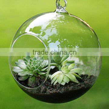 Transparent Bubble Round Shape Vase Flower Plant Water Container for Home Office