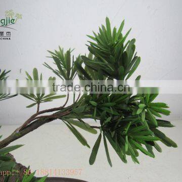 Miniascape,potted Evergreen Landscape,shapped Bonsai photo-6