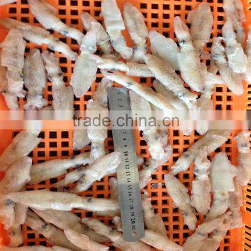 High Quality Whole Round Frozen Baby Squid for Sale photo-6