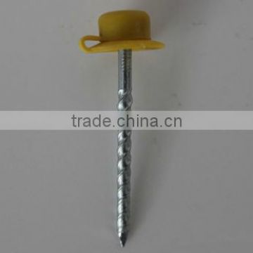 top quality galvanized twisted shank roofing nail screw nail with plastic cap