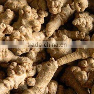 Top Quality Organic Panax Notoginseng Root/Powder photo-3