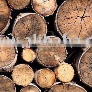 Firewood logs - fuel logs