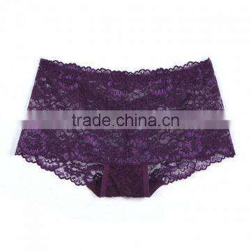 Manufacturer Pictures of Women in Lace Underwear Transparent photo-3