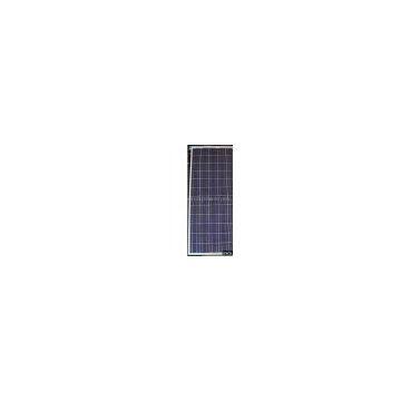 Sell Poly-Crystalline Solar Module