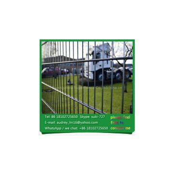 Galvanized Steel Green Vinyl Coated Welded Wire Mesh Nylofor 2D Fence for Sale photo-2