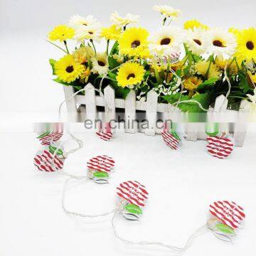 Best Selling Home Decoration Led Fairy String Light 10L Metal Apple String Light photo-2