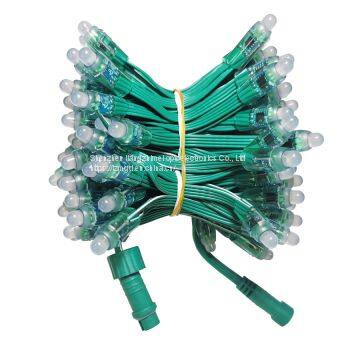 RGB Point Control Full Color Light String 9883 Full Color Exposure Light String Christmas Tree Special Color Light String Save Green Light String photo-2