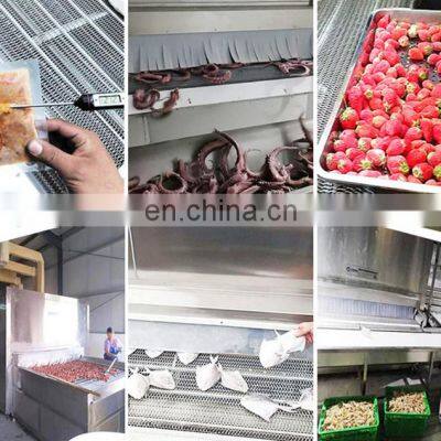 Automatic Frozen Fruit and Vegetable Production Line Auto Frozen Fruits Vegetables Processing Machinery Cheap Price for Sale photo-5