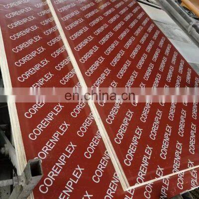 Playwood construction plywood  marine plywood for sale film faced plywood 1220*2440*18mm