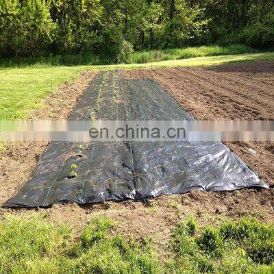 Wholesale Weed Matweed Mat Ground Cover Anti Grass Mat photo-4