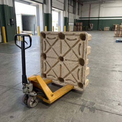 High-Strength, Nail-Free, Splinter-Free Molded Wood Pallets — Specialized for Warehousing and Logistics