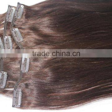 European 100% Remy Human Hair,clip in Hair Extension
