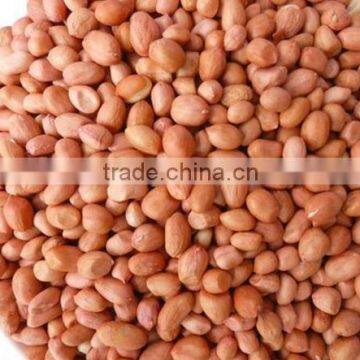 Roasted&salted Peanut Roasted Peanut photo-4