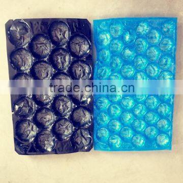 Export Quality Standard High Quality Food Grade Colorful Disposable Plastic Serving Divided PP Fruit Tray