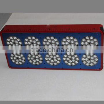 IP65 Outdoor Meanwell Driver 300w led grow light with whosale price uk warehouse dropship for hydroponics growing