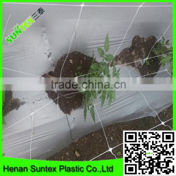 100% virgin material Plastic trellis net plant climbing support netting cucumber netting vine netting Pea & Bean netting