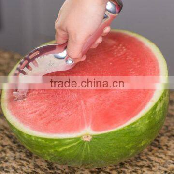 High Quality Through FDA/LFGB/SGS Stainless Steel Watermelon Slicer Quality Choice photo-2