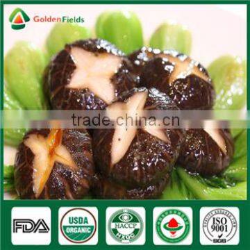 Edibal Mushroom Cultivation China Supplier Organic Fresh and Dried Shiitake Mushroom