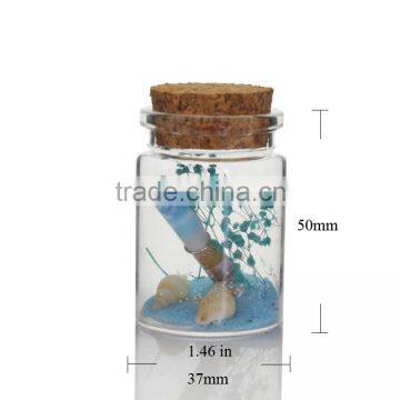 shell message grawss decorative glass jars with cork lids