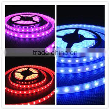 CE/RoHs Waterproof RGB IP67 LED Light Strip 12W/M SMD 5050 Flexible Battery Powered LED Strip Light Wholesale photo-2