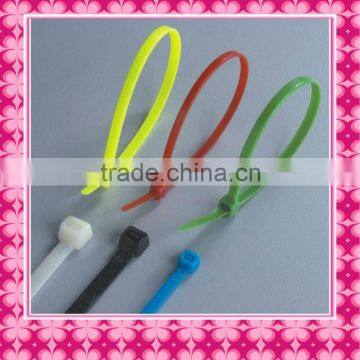 2012 New Plastic security cable tie with label