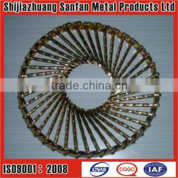 Sell Galvanized Twisted shank roofing screw