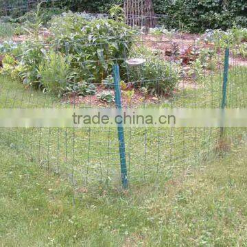 chicken wire fence