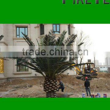 Artificial Canary date palm Tree