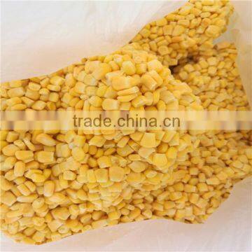 Haccp Certificate IQF Whole Sweet Corn Kernels Frozen