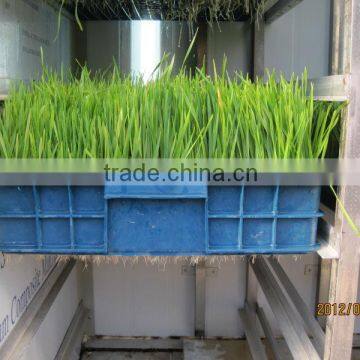 Best selling fodder sprouting system to feed livestock