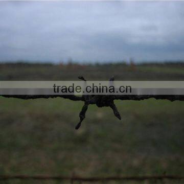 12*12 Types Plastic Barbed Wire photo-2