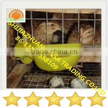 automatic chicken quail feeders, drinkers ,nipples,accessories