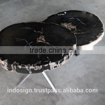 Coffee Table Set Petrified Wood, Top Quality Petrified Wood Tables photo-2
