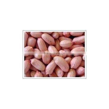 Wholesale roasted red skin peanut