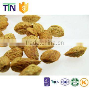 TTN Bulk Wholesale Dried Almond Kernel Almond Nuts Price For Sale