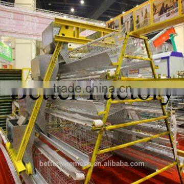 Hot-sale Hign Quality Professional Automatic Chicken Poultry Feeding Machine