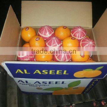 VALENCIA ORANGE From Egypt