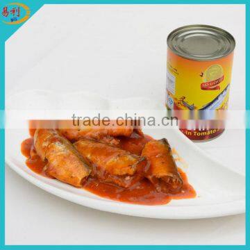 Best pilchard fish canned in tomato sauce