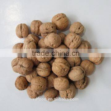 Lulian Thin Skin Walnuts With Shell