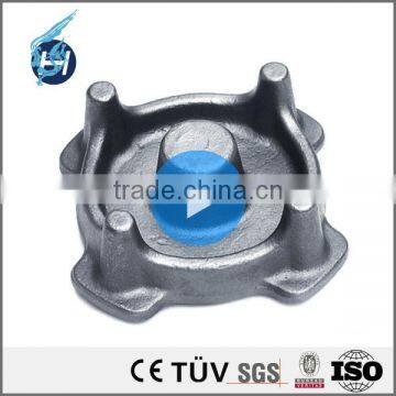 Custom Precision Aluminum Casting for Auto Part Professional Casting High Precision Casting and Die Casting