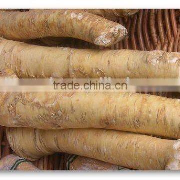 Dried Horseradish Flakes in Dried Vegetables photo-6