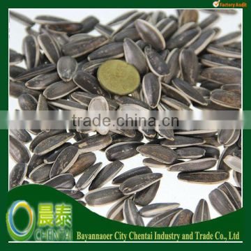 Top Quality For Human Eat Sunflower Seeds Hulled