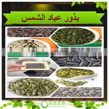 New Crop High Quality Hulled Striped Black Sunflower Oil Seeds